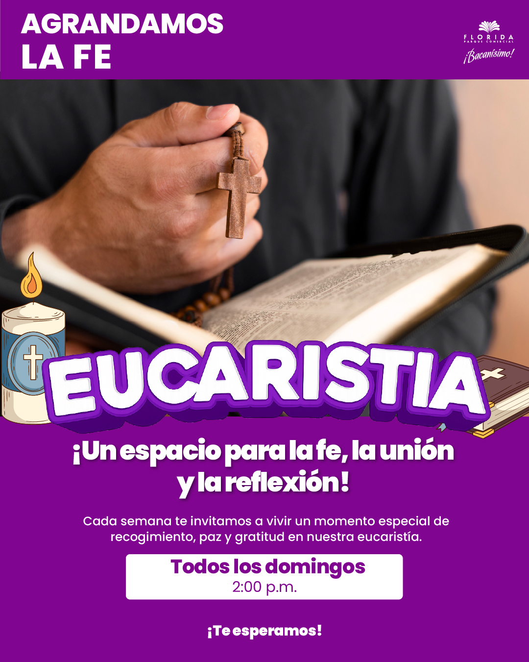 3a - copia
